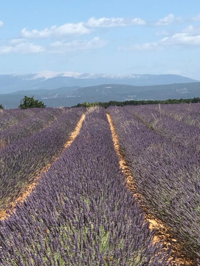 Provence Luberon Bonnieux Location Gite Chez Basile ภายนอก รูปภาพ